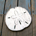 Sand Dollar Wall Art - Haven America