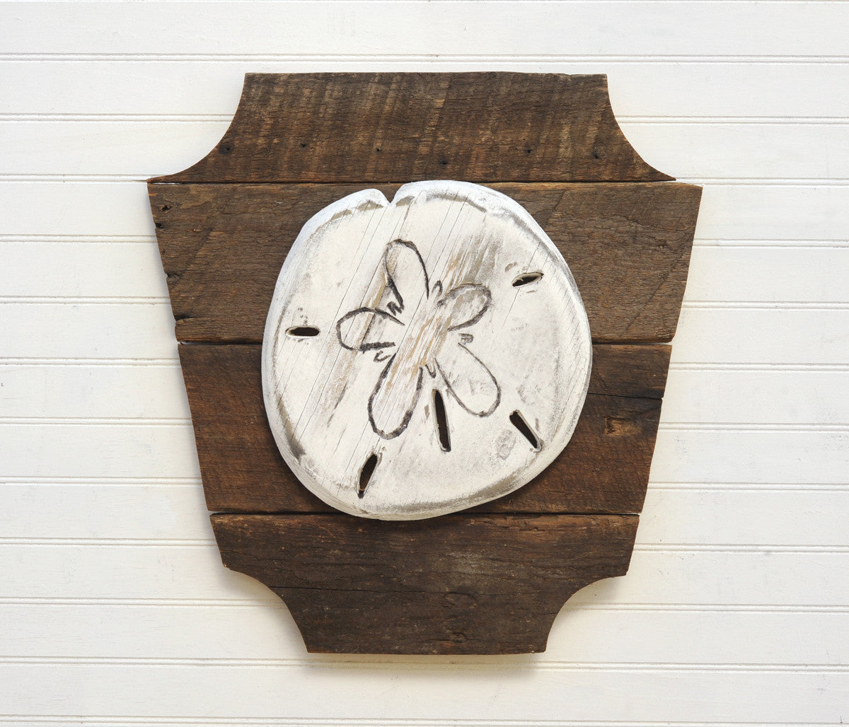 Sand Dollar Trophy Head - Haven America