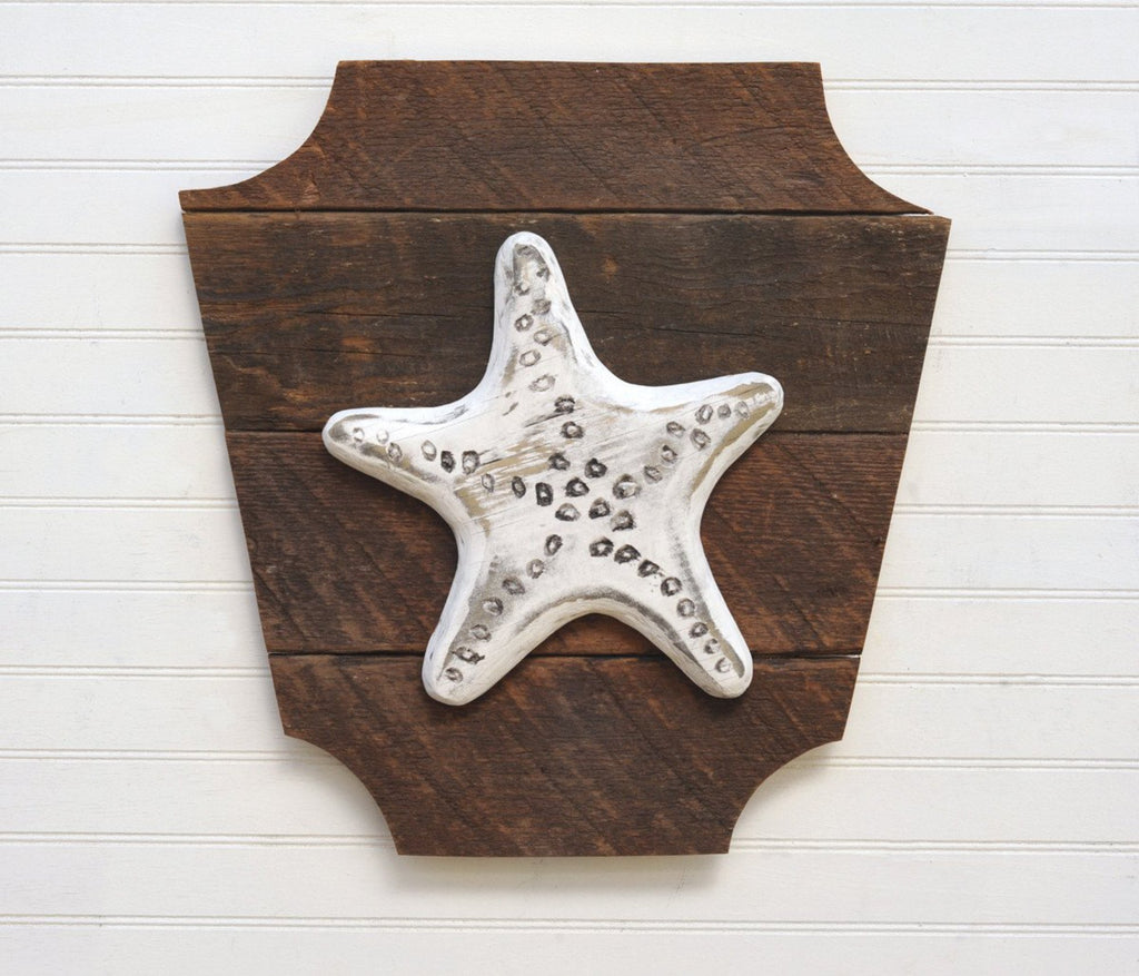 Starfish Trophy Head - Haven America