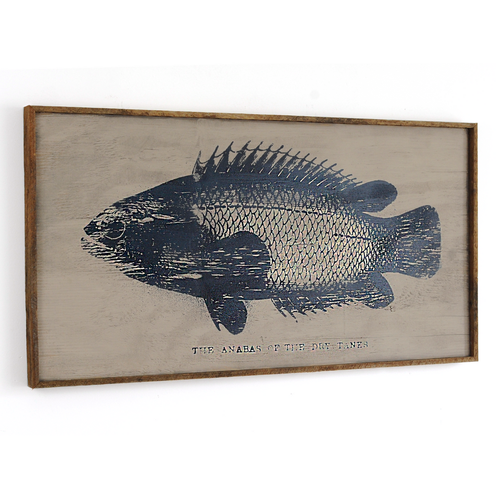 Anabas Fish Wall Art Framed - Haven America