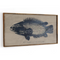 Anabas Fish Wall Art Framed - Haven America