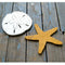 Starfish Wall Decor - Haven America