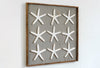 Finger Starfish Wall Art Framed - Haven America