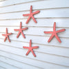 Avalon Starfish Wall Decor - Haven America