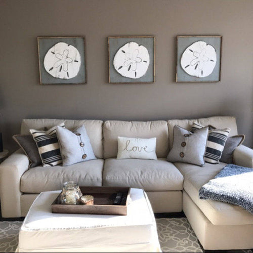 Giant Sand Dollar Framed Wall Art - Haven America