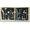 Wildflowers Pair Art Print - Haven America